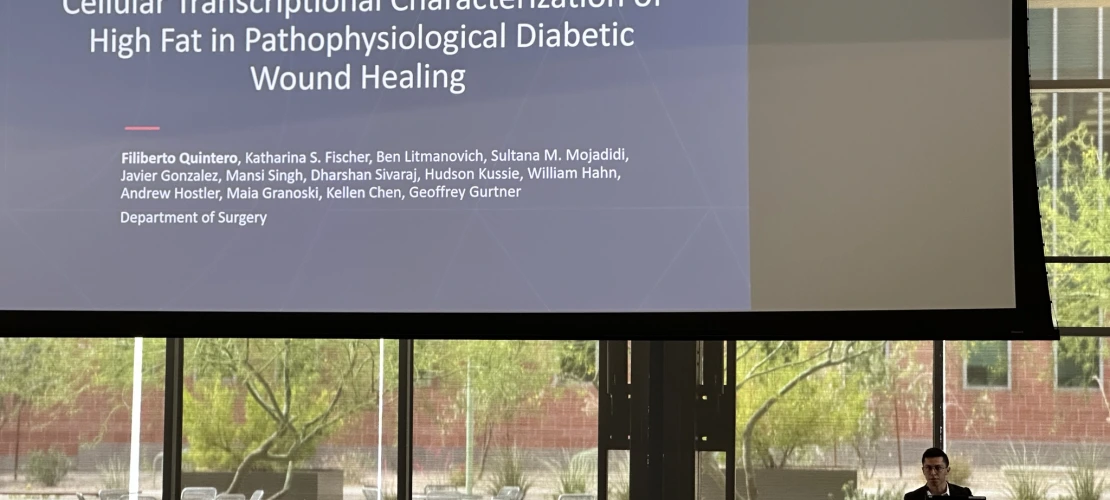 Filiberto giving his presentation 