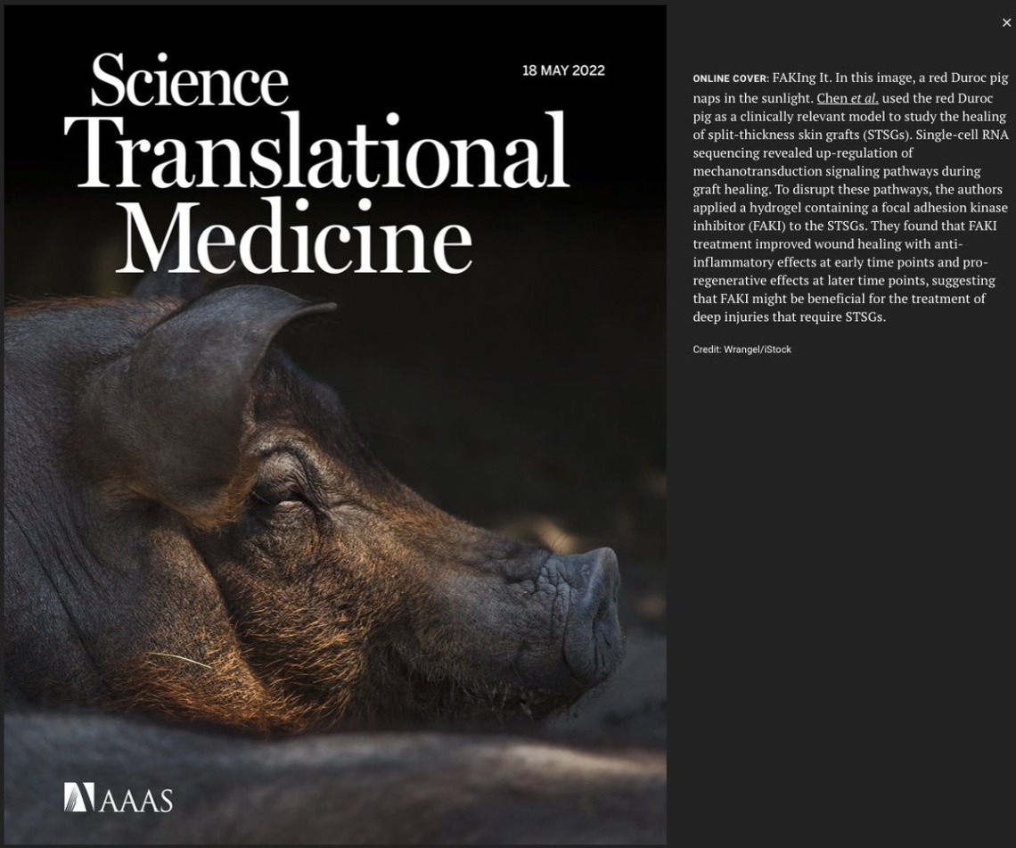 Science Translational Medicine May Cover